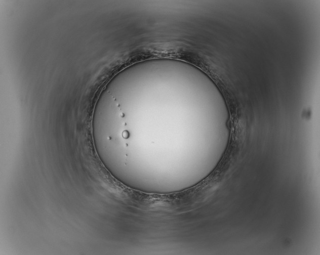 X0000113350913200909291051