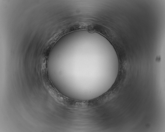X0000113350914200909291051