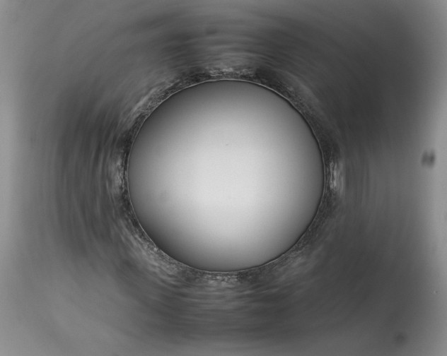 X0000113350915200909291051