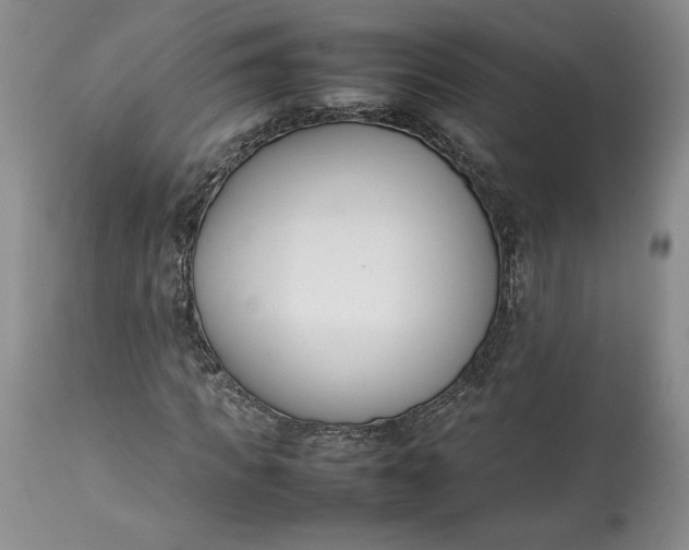 X0000113350917200909291051