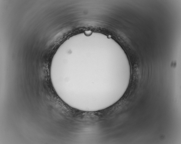 X0000113350918200909291051