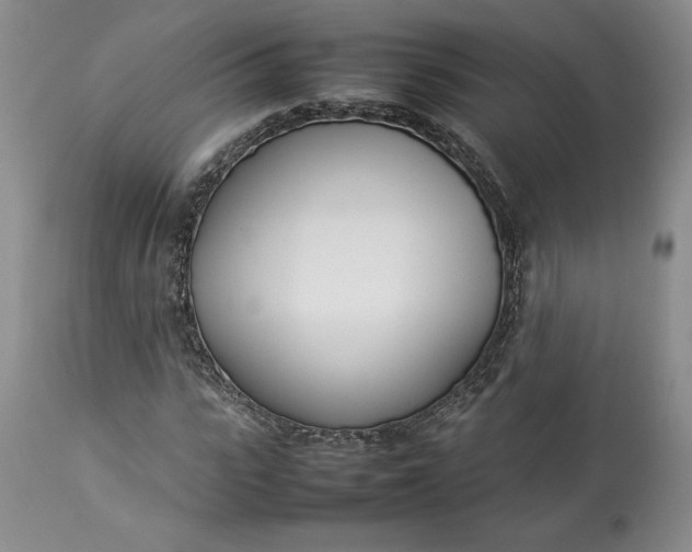X0000113350919200909291051