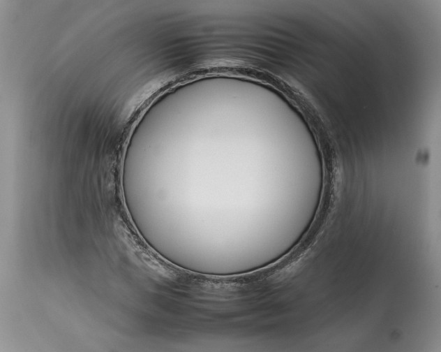 X0000113350921200909291051