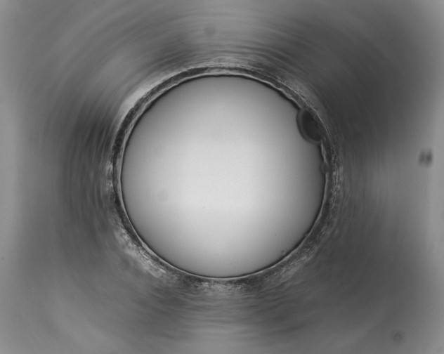 X0000113350928200909291051