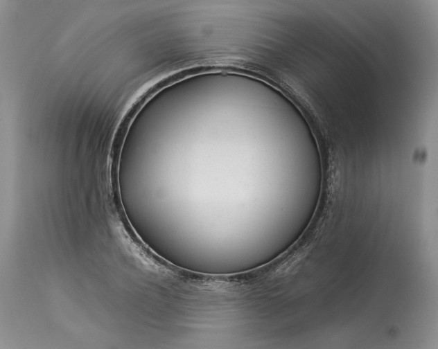 X0000113350932200909291051