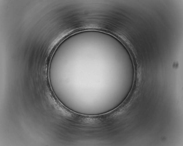 X0000113350933200909291051