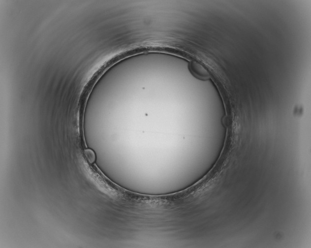 X0000113350934200909291051