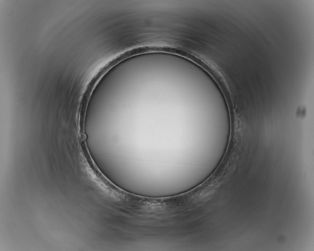 X0000113350935200909291051
