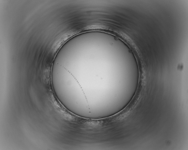 X0000113350937200909291051