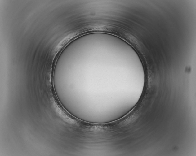 X0000113350938200909291051