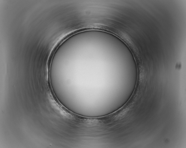 X0000113350940200909291051