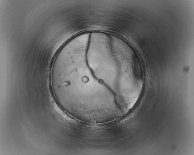 X0000113350941200909291051