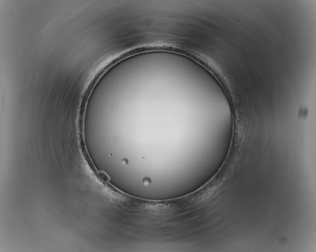X0000113350943200909291051