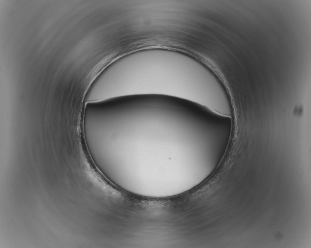 X0000113350946200909291051