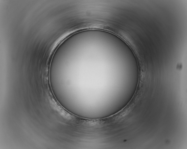X0000113350948200909291051