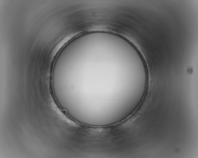 X0000113350949200909291051