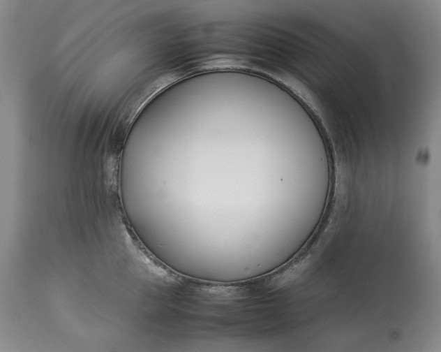 X0000113350953200909291052