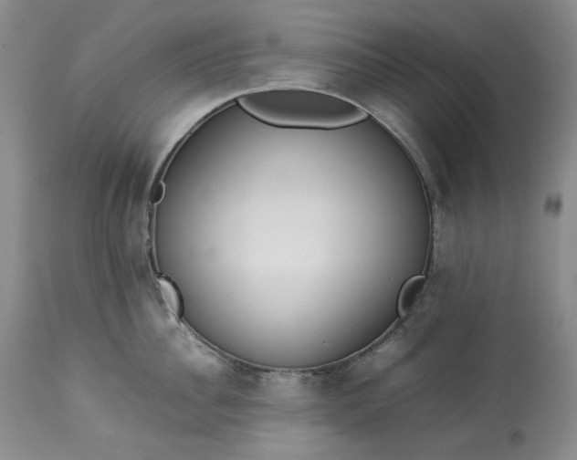 X0000113350956200909291052