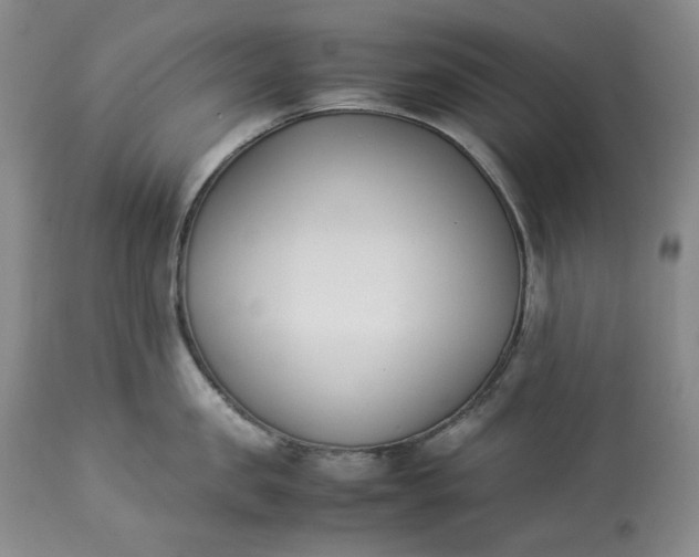 X0000113350957200909291052