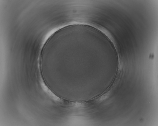 X0000113350958200909291052