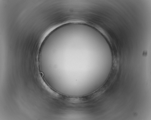 X0000113350959200909291052