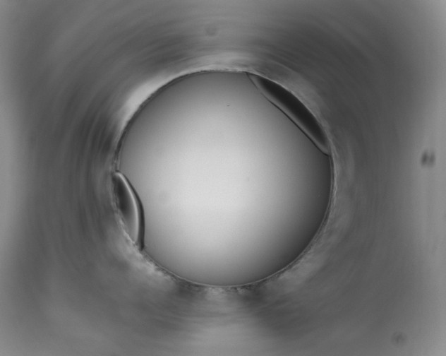 X0000113350960200909291052