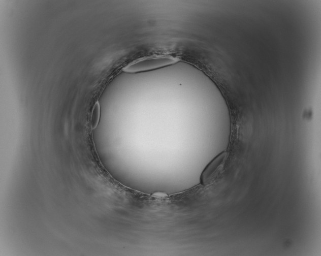 X0000113350961200909291051
