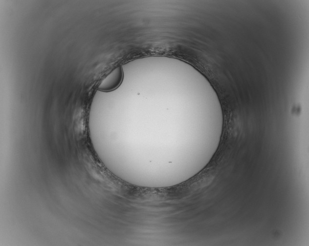 X0000113350962200909291051