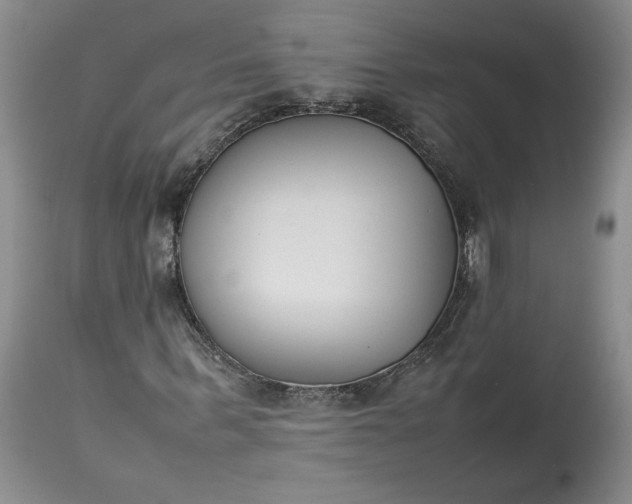 X0000113350963200909291051