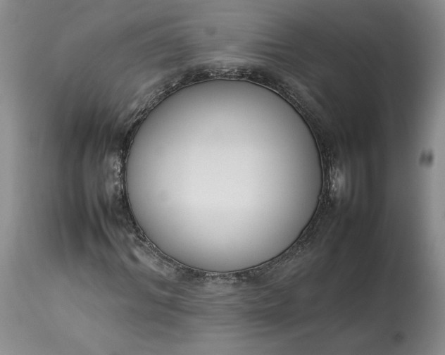 X0000113350964200909291051