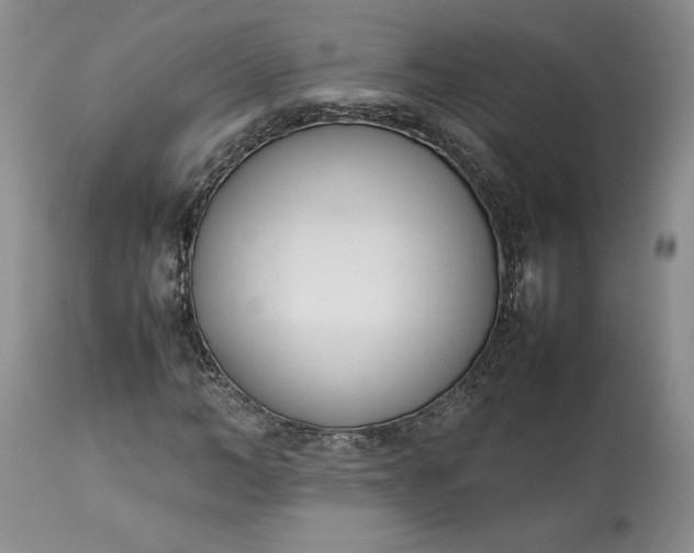 X0000113350966200909291051