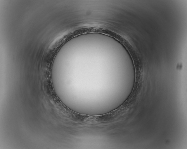X0000113350967200909291051