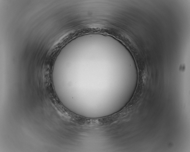 X0000113350968200909291051