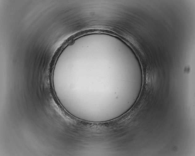 X0000113350972200909291050