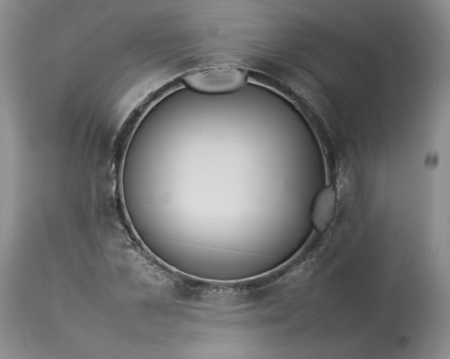 X0000113350973200909291050