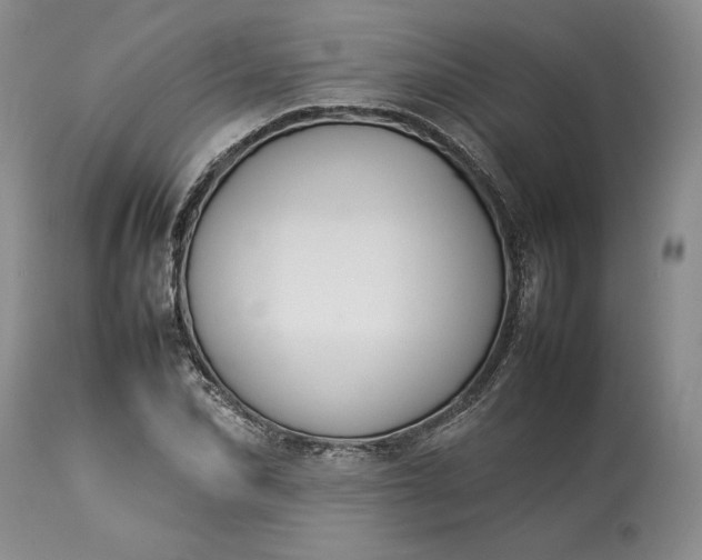 X0000113350974200909291050