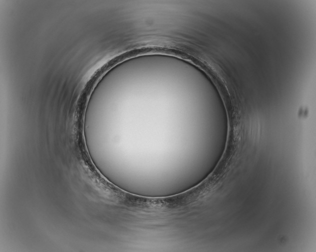 X0000113350975200909291050