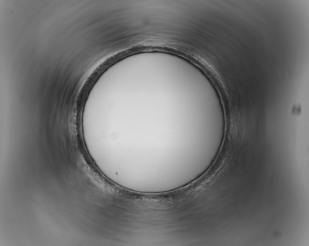 X0000113350976200909291050