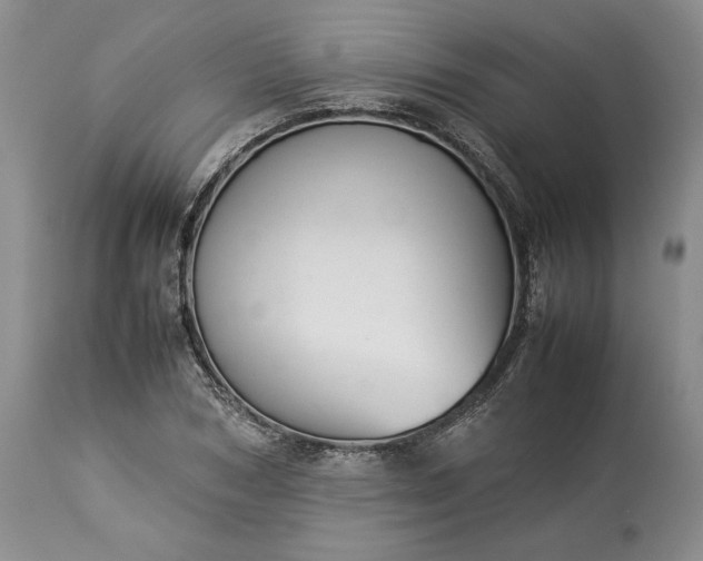 X0000113350978200909291050