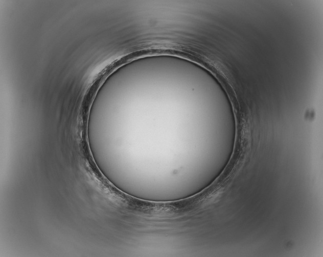 X0000113350979200909291050