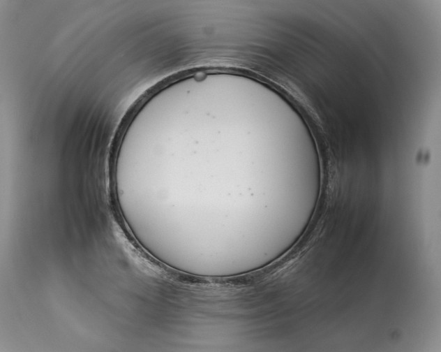X0000113350980200909291050