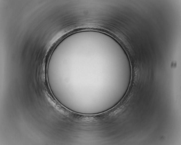 X0000113350982200909291050