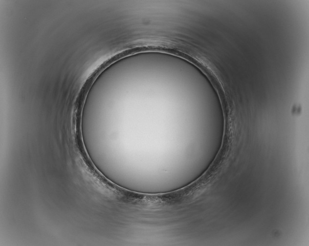 X0000113350983200909291050