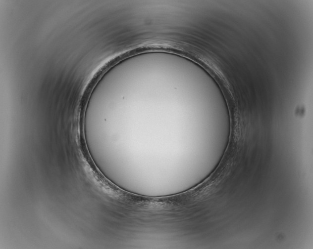 X0000113350984200909291050