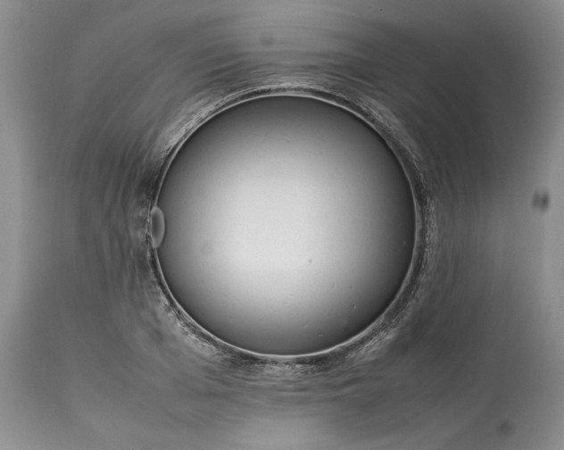 X0000113350985200909291050
