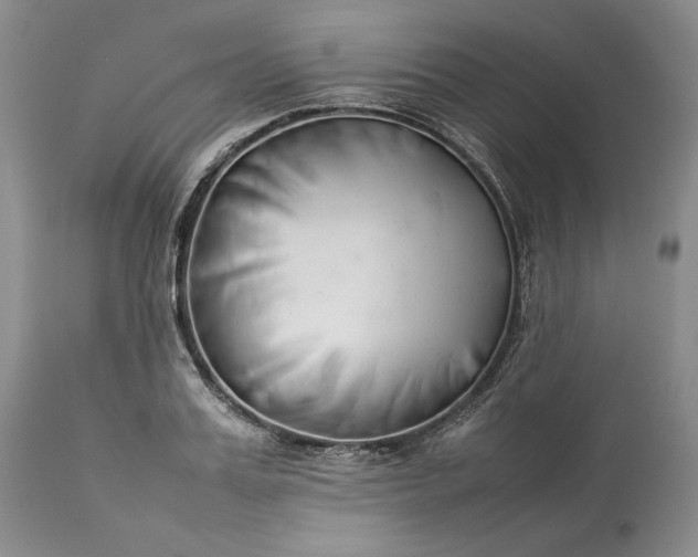 X0000113350987200909291050