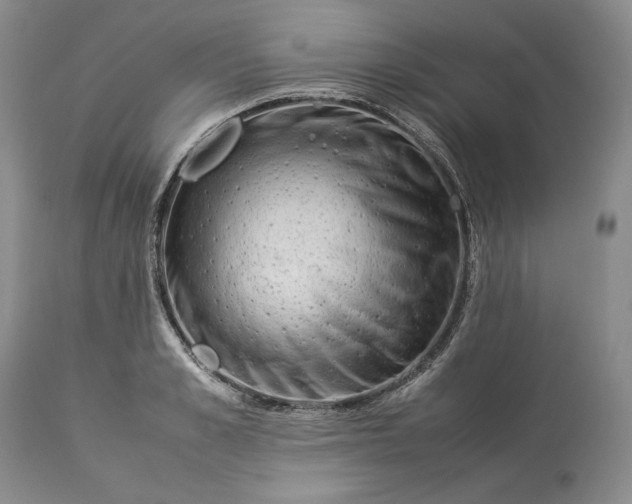 X0000113350989200909291050