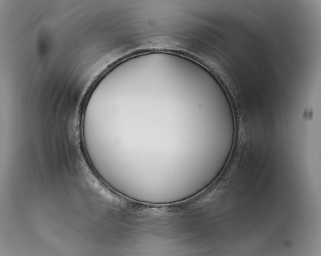 X0000113350990200909291050