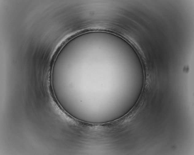 X0000113350992200909291050