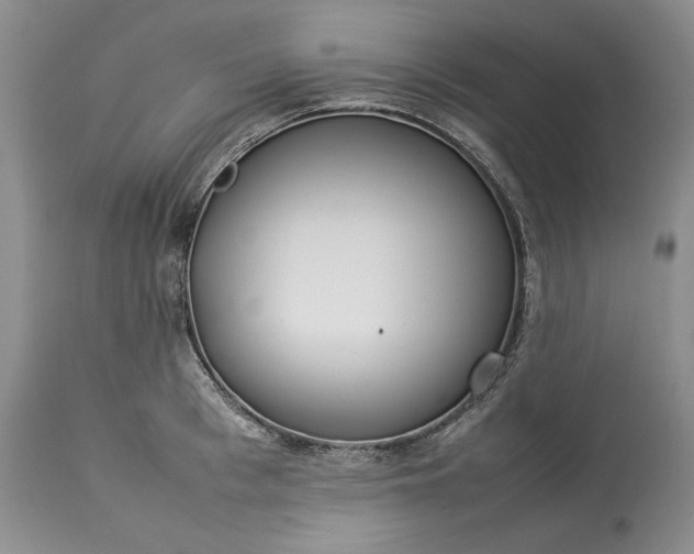 X0000113350993200909291050
